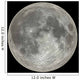 moon Wall Mural