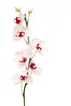 White Orchid Wall Mural