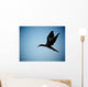 Cormorant Flight