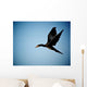 Cormorant Flight