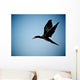 Cormorant Flight