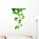 Green Ivy Wall Decal