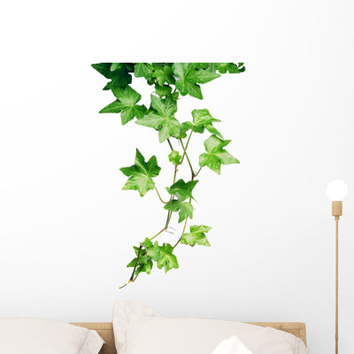Green Ivy Wall Decal shown on a wall