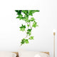 Green Ivy Wall Decal
