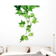 Green Ivy Wall Decal