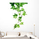 Green Ivy Wall Decal