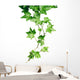 Green Ivy Wall Decal