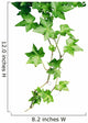 Green Ivy Wall Decal