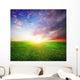Green Field and Beautiful Sunrise Wall Mural