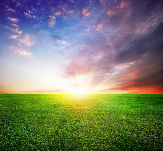 Green Field and Beautiful Sunrise Wall Mural