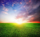 Green Field and Beautiful Sunrise Wall Mural