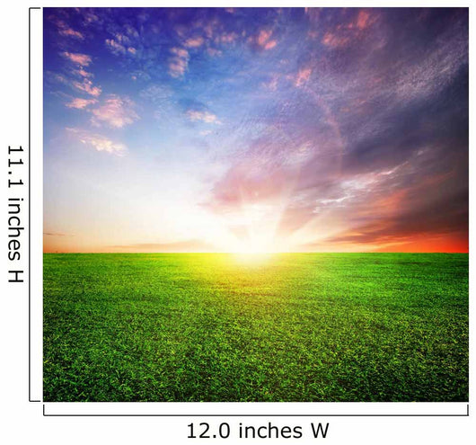 Green Field and Beautiful Sunrise Wall Mural