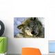Resting Young Gray Wolf Wall Mural