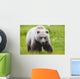 Adult Brown Bear walking amongst grasses Wall Mural