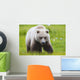 Adult Brown Bear walking amongst grasses Wall Mural