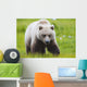 Adult Brown Bear walking amongst grasses Wall Mural