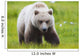 Adult Brown Bear walking amongst grasses Wall Mural