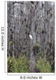 Everglades Loop Road Pinecrest