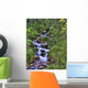 Mountain Stream Wall Mural
