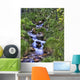 Mountain Stream Wall Mural