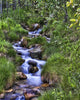 Mountain Stream Wall Mural