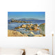 From Isla Ons Piedras Wall Decal