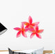 Isolated plumeria, vector illustration Wall Decal