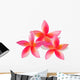 Isolated plumeria, vector illustration Wall Decal
