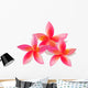 Isolated plumeria, vector illustration Wall Decal