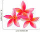 Isolated plumeria, vector illustration Wall Decal