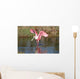 Roseate Spoonbill Hunting Water