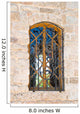 Window