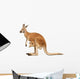 Kangaroo Female with Cub