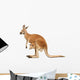 Kangaroo Female with Cub