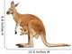 Kangaroo Female with Cub