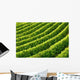 Rows Grapevines Wall Decal