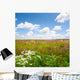 meadow Wall Mural