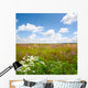 meadow Wall Mural