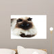 Cat Wall Mural