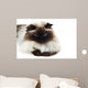Cat Wall Mural