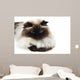 Cat Wall Mural