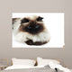 Cat Wall Mural