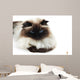 Cat Wall Mural