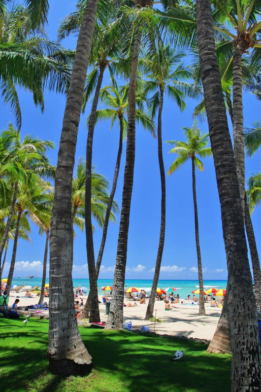 Waikiki Beach Honolulu Oahu Hawaii Wall Mural