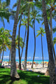 Waikiki Beach Honolulu Oahu Hawaii Wall Mural