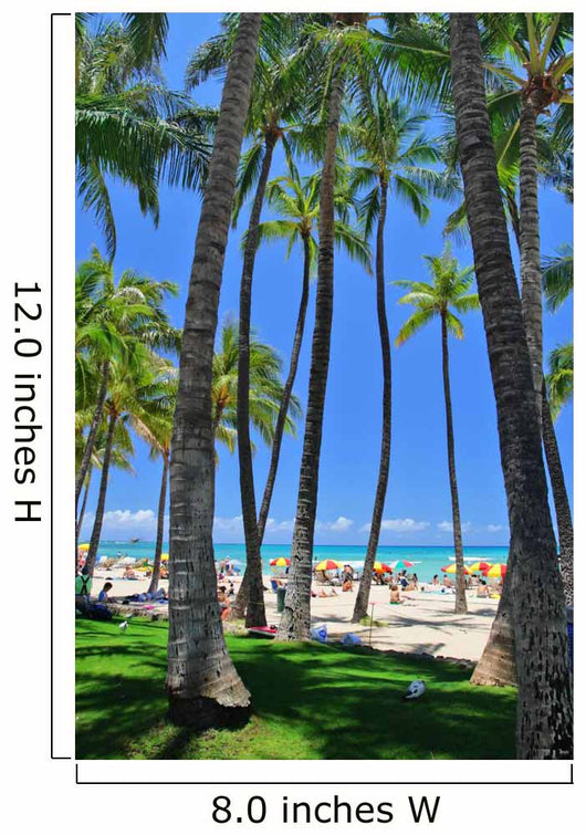 Waikiki Beach Honolulu Oahu Hawaii Wall Mural