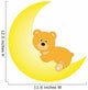 Bear over Moon