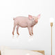 Pig Wall Decal