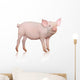 Pig Wall Decal