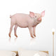 Pig Wall Decal
